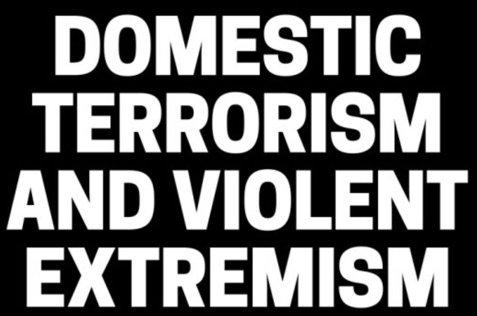 Racially and Ethnically Motivated Violent Extremism (REMVE) and Targeted Violence Arrests 2011-2020