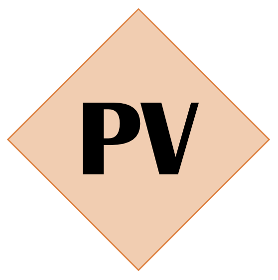 Political Violence in Germany Political Violence in Germany