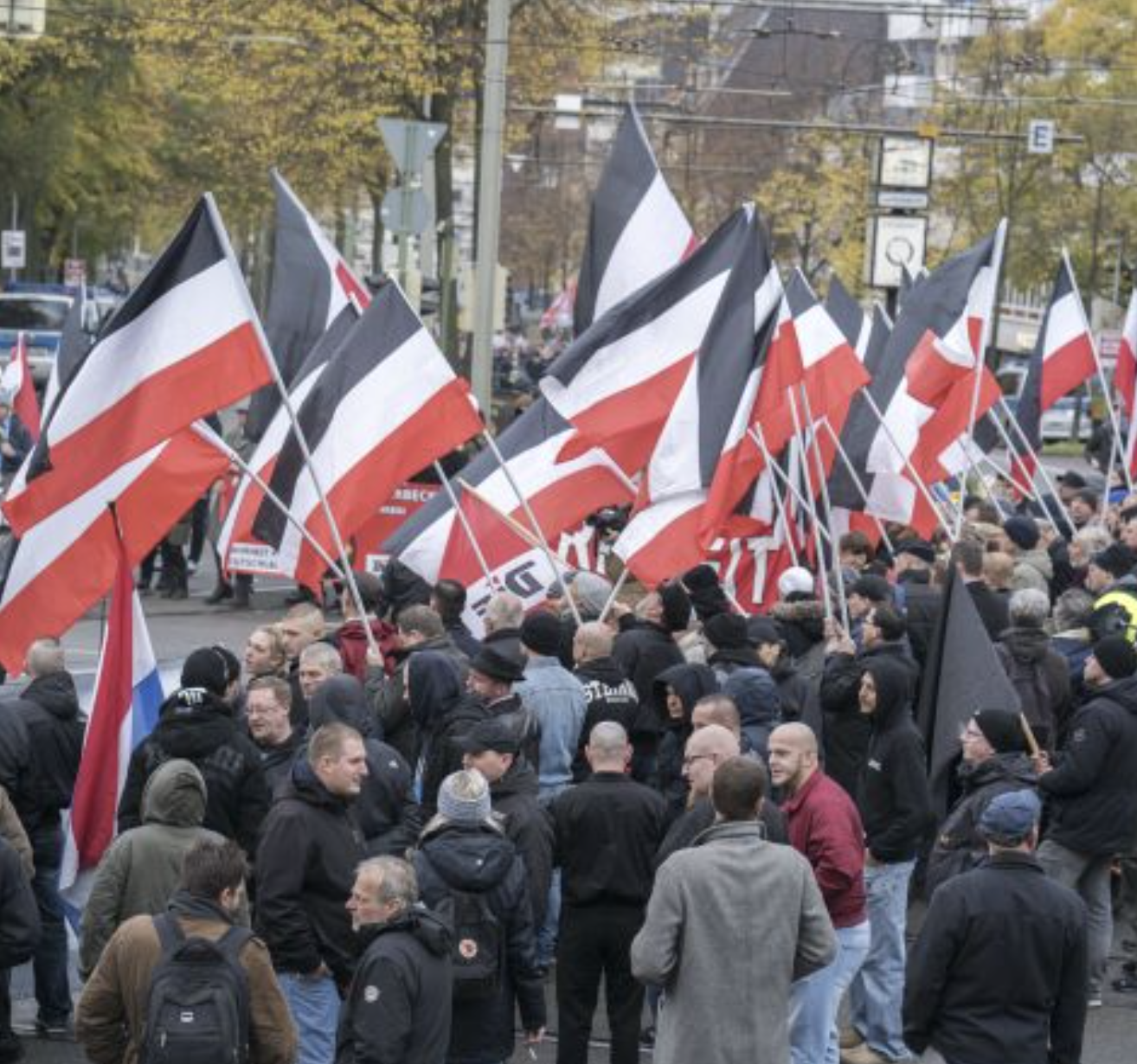 The Far Right on the March - Understanding Demonstrations The Far Right on the March - Understanding Demonstrations